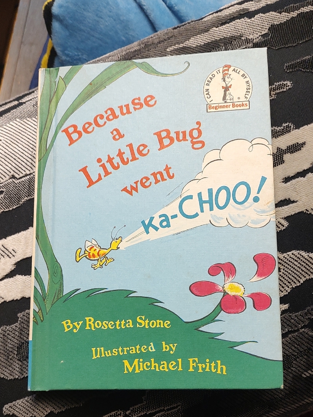 Because a Little Bug Went Ka-CHOO! - Blue Illustrated Children's Book